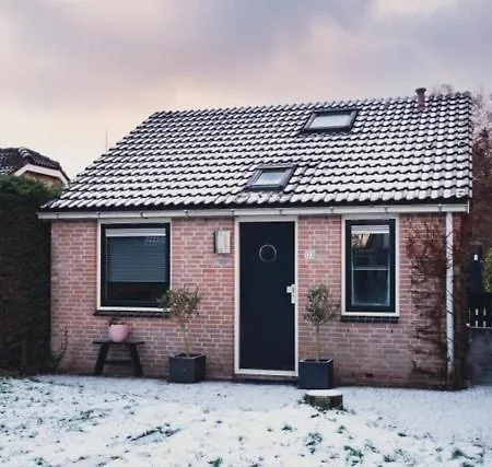 Roosje * Egmond aan den Hoef